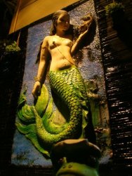 DSC07828.JPG