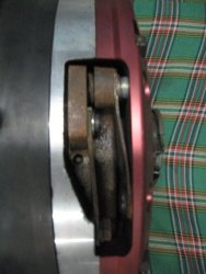 IMG_1570.jpg