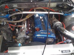 IMG_0295 (Medium).jpg