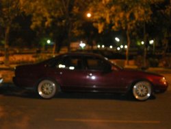 ปาปาย่า 027 (Small).jpg