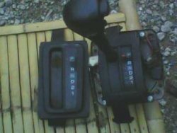 IMG0055A.jpg