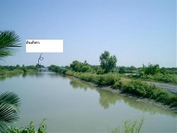 CIMG0131.jpg