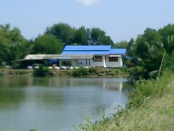 CIMG0133.JPG
