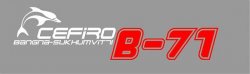 b71logofinal.jpg