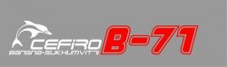 b71logofinal02.jpg