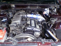 IMGA7666.jpg