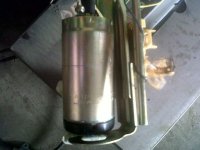 IMG00317-20100517-1410.jpg