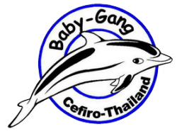 BabyGang.png