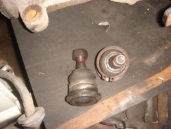 DSC08602.jpg