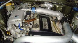 SNV35527.jpg
