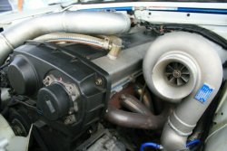 IMG_9746.jpg