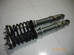 IMGP3098.jpg