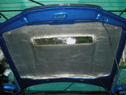 DSCN5370 (Medium).JPG