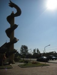 IMG_2165.jpg