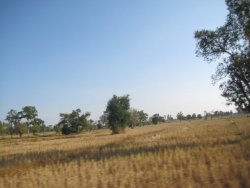 IMG_2324.jpg