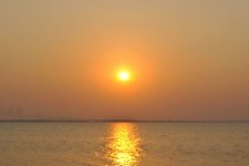 DSC_0195.JPG