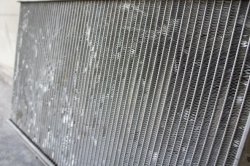 DSC00650.jpg