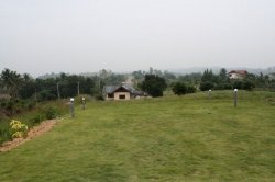 IMG_9450.jpg
