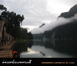 1393-attachment.jpg
