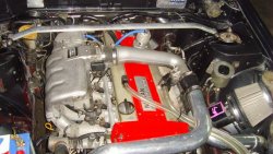 SNV36838.jpg