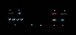 IMG00582-20110330-1930.jpg