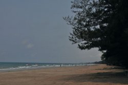 a7.JPG