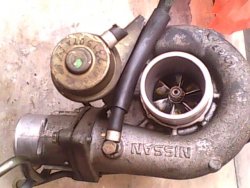 IMG0093A.jpg