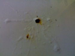 03062011824.jpg