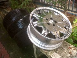 IMG01166-20110716-0959.jpg