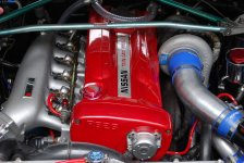 DSC_0227.jpg