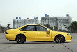 tbo_yellow2.jpg