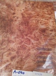 IMG_20110813_102425_resize.jpg