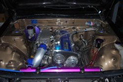DSC_0307.jpg