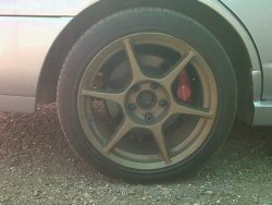 IMG00357-20111120-1051.jpg
