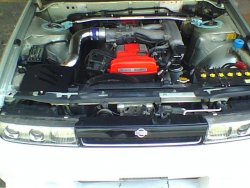 IMG0445A.jpg