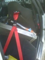 IMG01146-20120110-1054.jpg