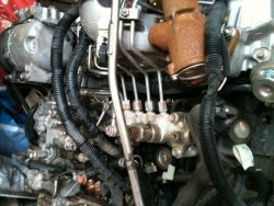 IMG_0573re-new.jpg