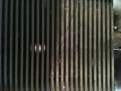 IMG_0646.jpg