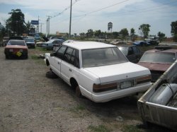 ceng42.jpg
