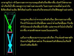 012.jpg