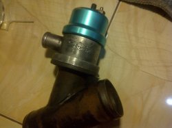 IMG-20120407-00044.jpg