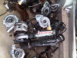 IMG-20120410-00213.jpg