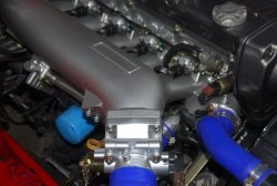v6.jpg
